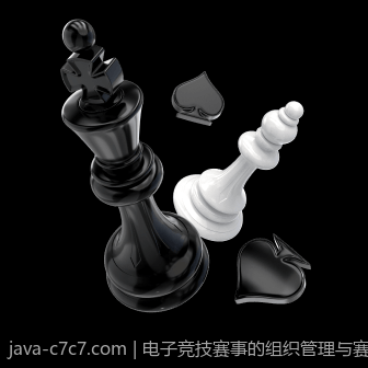 电子竞技赛事的组织管理与赛事运营策略