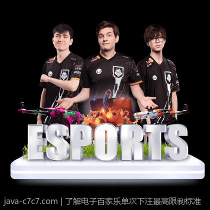 了解电子百家乐单次下注最高限制标准